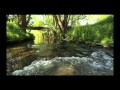 INTEWA PURAIN Filters Video